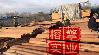 襄樊市菠蘿格防腐木廠家與加工廠全解析 工藝、選擇與市場前景